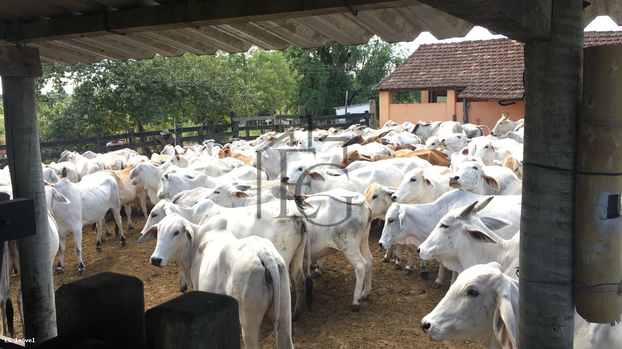 Fazenda, 52 m² - Foto 16