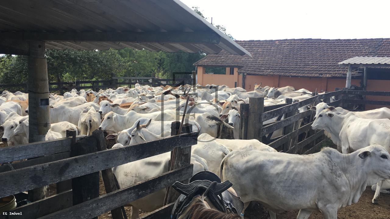 Fazenda, 52 m² - Foto 17