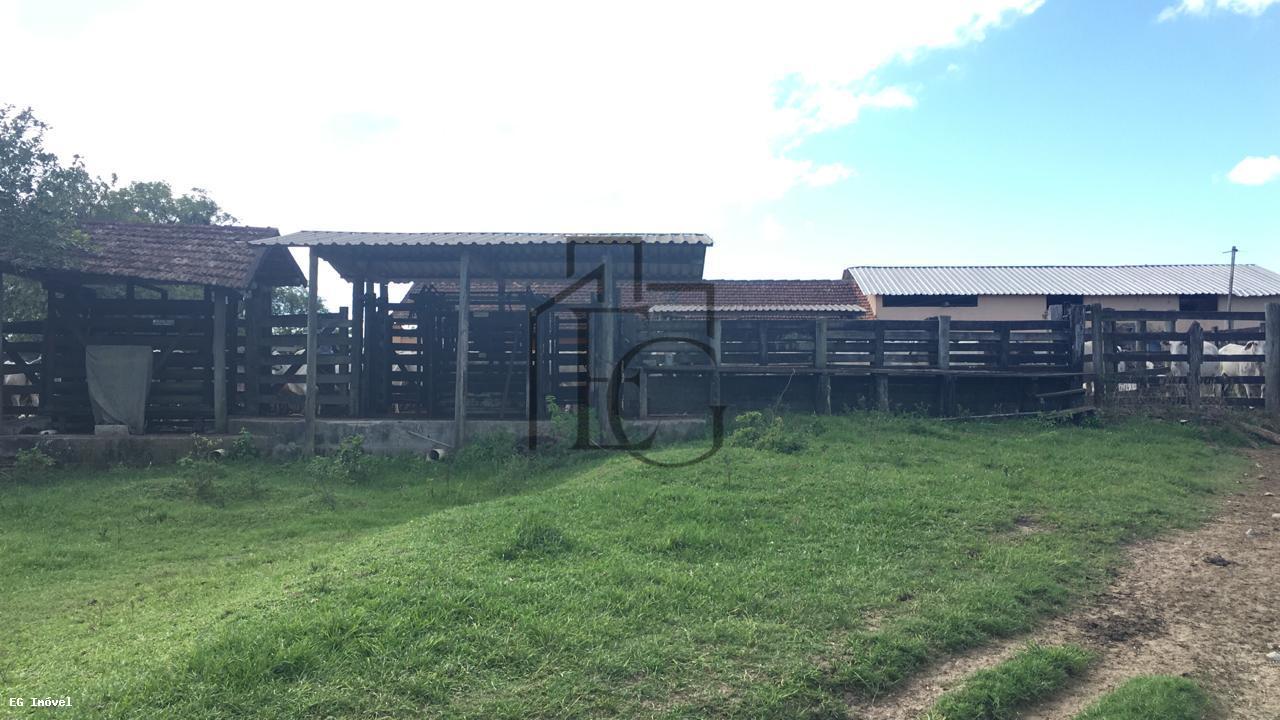 Fazenda, 52 m² - Foto 25